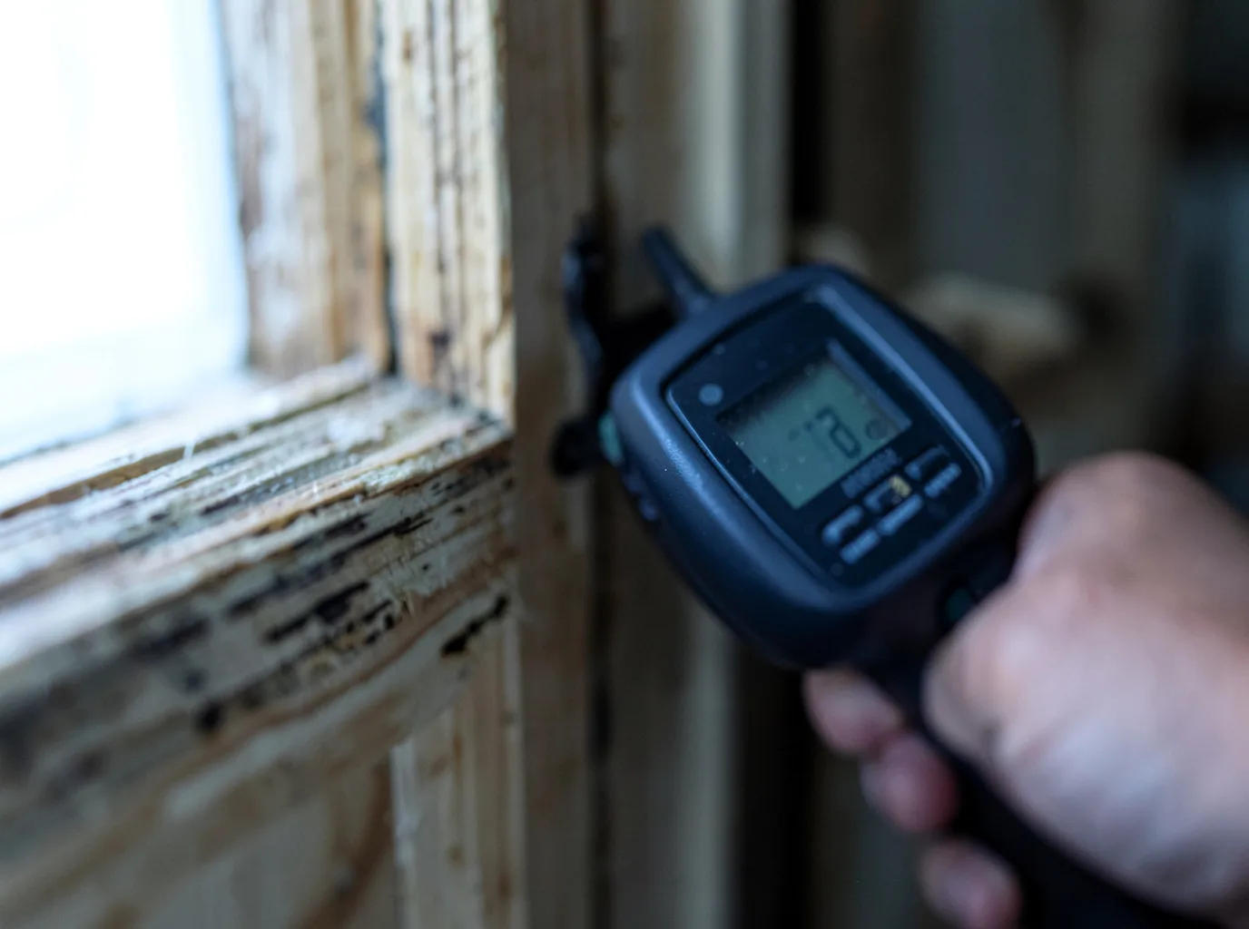 Moisture Inspection And Documentation in Presque Isle, ME